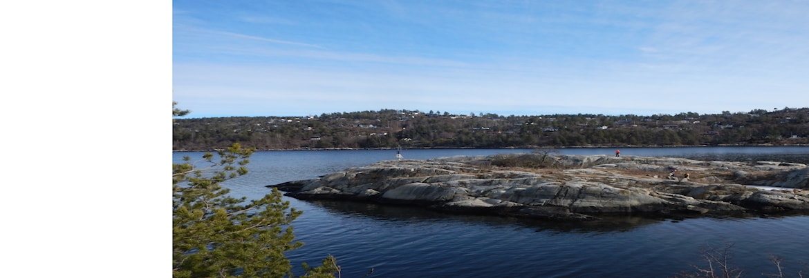 Ryddedugnad "Før-fuglene-kommer" søndag 23.03.